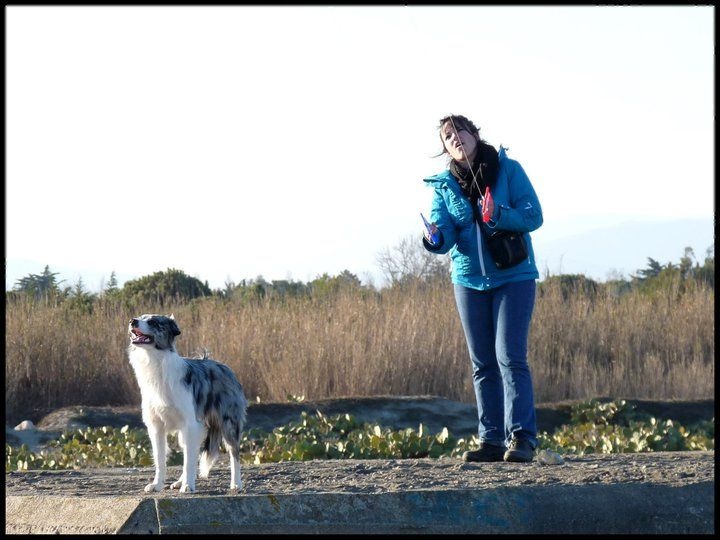 Divers; Nos chiens et nous